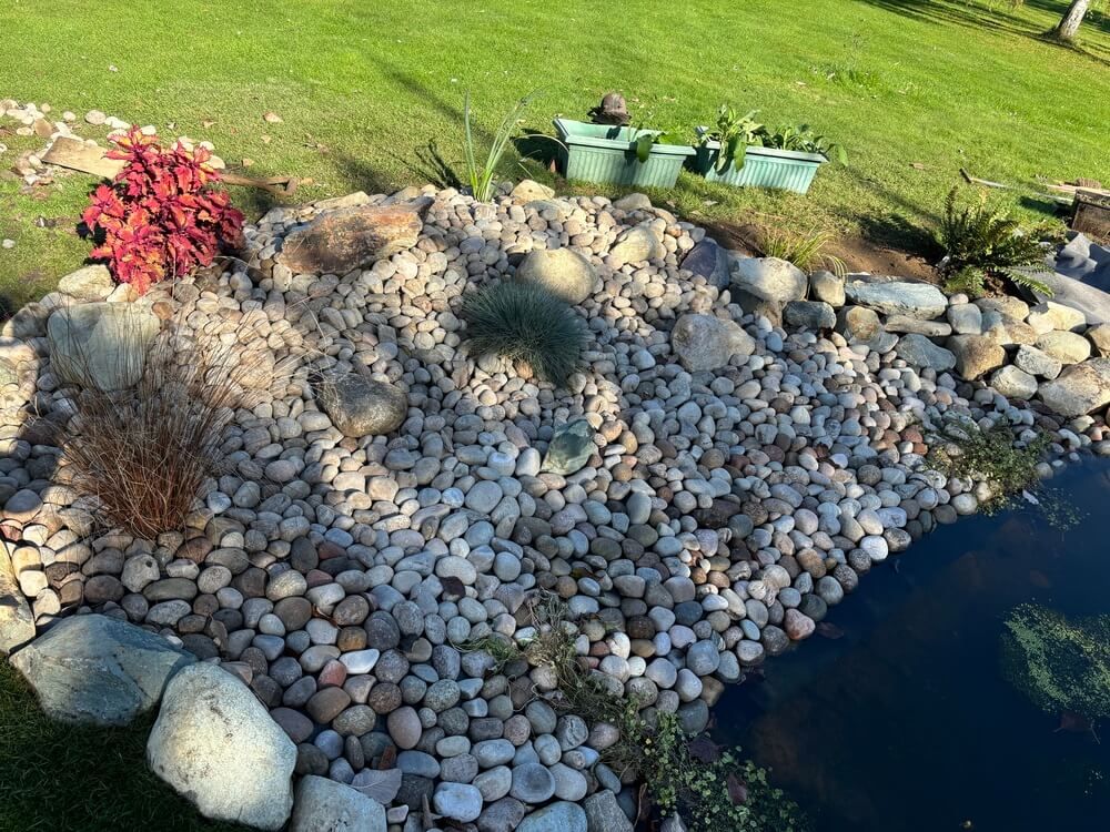 Pond